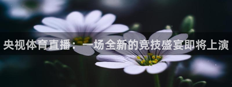 柠檬直播体育官网：央视体育直播：一场全新的竞技盛宴即将上演