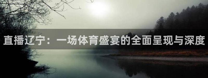 柠檬直播网：直播辽宁：一场体育盛宴的全面呈现与深度