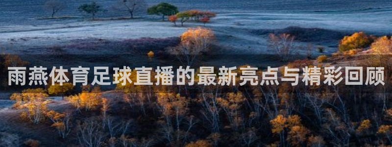 柠檬足球现场直播：雨燕体育足球直播的最新亮点与精彩回顾