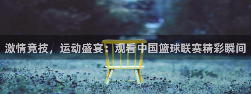 柠檬直播体育篮球：激情竞技，运动盛宴：观看中国篮球联赛精彩瞬间