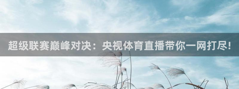 小柠檬直播：超级联赛巅峰对决：央视体育直播带你一网打尽!