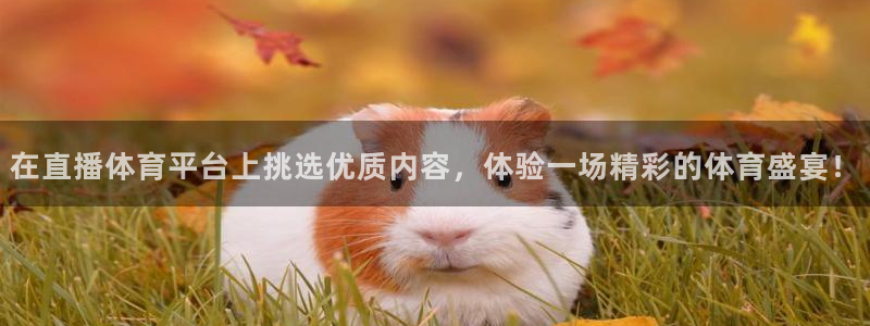 柠檬体育在线直播：在直播体育平台上挑选优质内容，体验一场精彩的体育盛宴！