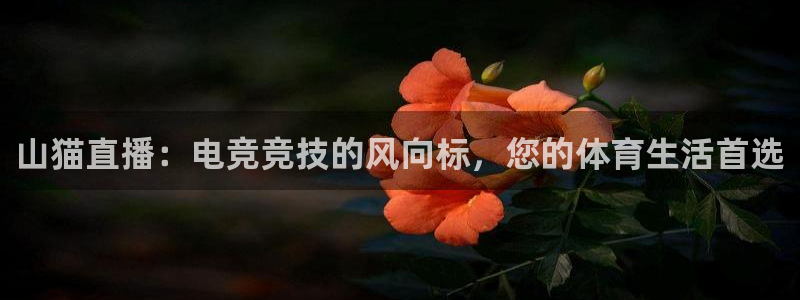 柠檬足球直播体育：山猫直播：电竞竞技的风向标，您的体育生活首选