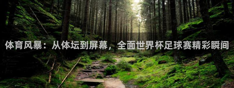 柠檬网体育直播：体育风暴：从体坛到屏幕，全面世界杯足球赛精彩瞬间