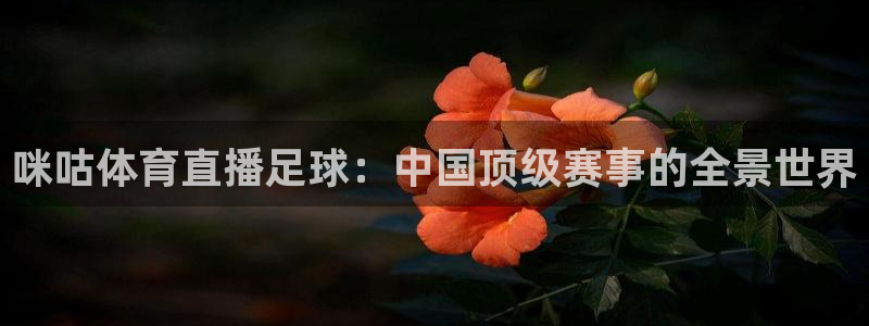 柠檬直播nba体育：咪咕体育直播足球：中国顶级赛事的全景世界
