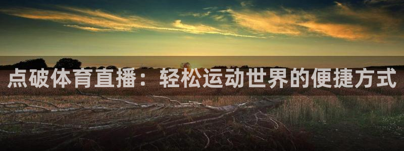 柠檬直播 足球：点破体育直播：轻松运动世界的便捷方式