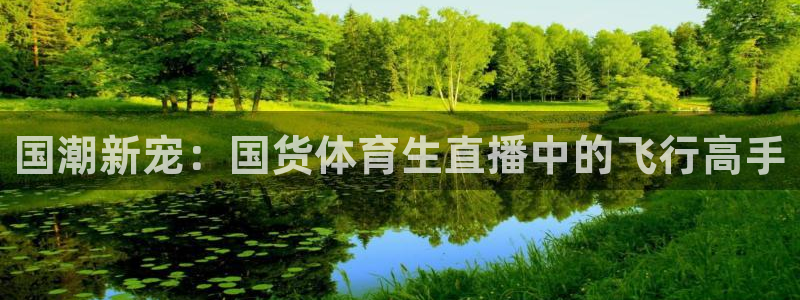 柠檬直播足球免费观看：国潮新宠：国货体育生直播中的飞行高手