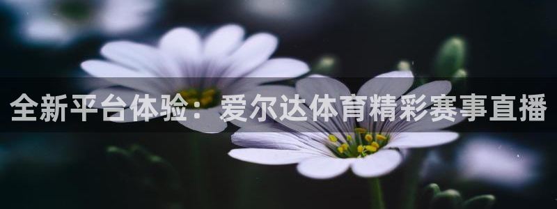 柠檬体育网：全新平台体验：爱尔达体育精彩赛事直播