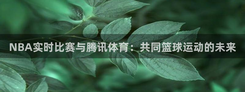 柠檬直播tv：NBA实时比赛与腾讯体育：共同篮球运动的未来